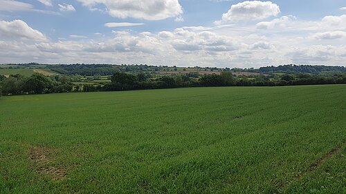 View of Fields Earmarked for Development at Kirk Hallam